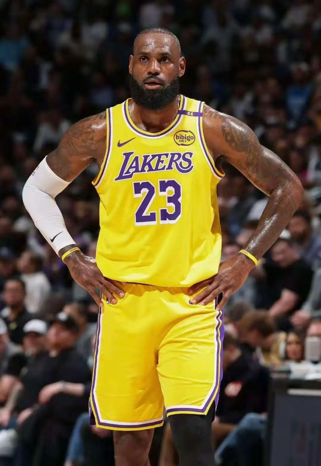 洛杉矶湖人今晨主帅复盘,志在欧篮联名次提升,态度坚定,赛季目标并未改变的简单介绍-球友会娱乐