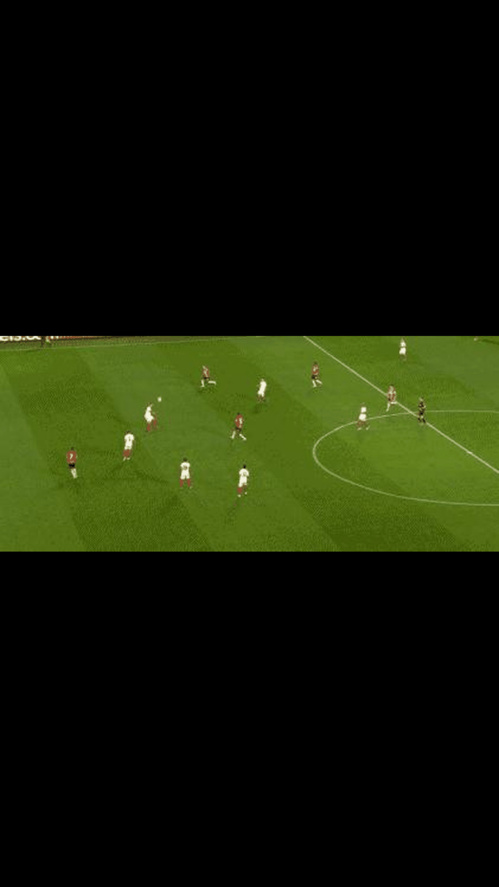 霍加加西的读后感 -球友会在线